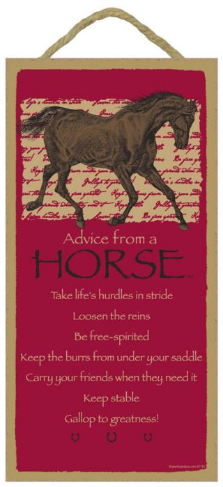 Advice From A Horse 10 X 5 Wood Sign Plaque Usa Made