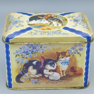 Vintage Tin Box Playful Kittens Cats In Garden Floral Made In England