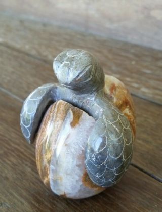 Sea Turtle Emerging From Egg Hand Carved Stone Agate Marble