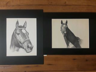 Horse Prints; 2 1940s Prints " Man Of War " By C.  W.  Anderson 11 " X 14 " Matted