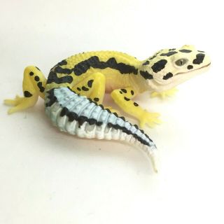 Kaiyodo Capsule Q Museum Miniature Figure Leopard Gecko Bold Stripe Japan