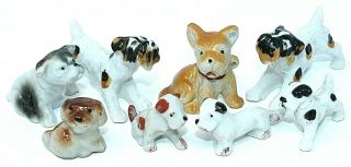 Vintage Group Of 8 Small Hp Ceramic Dogs,  Terriers Bulldogs Japan,  Vguc