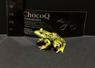 Kaiyodo Animatales Choco Q Series 7 Daruma Pond Frog Figure