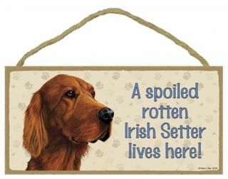 Spoiled Rotten Irish Setter Dog 5 X 10 Wood Sign Plaque Usa Made