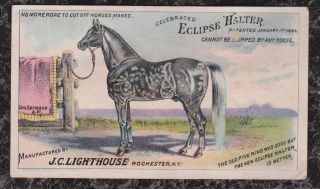 Eclipse Halter Horse George Sprague Victorian Trade Card Lighthouse Rochester Ny