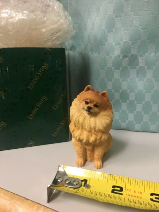 Living Stone Pomeranian Dog Figurine 52255