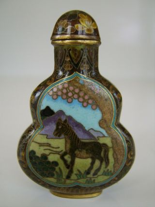 Very Rare Fine Old Antique Chinese Cloisonne Snuff Bottle