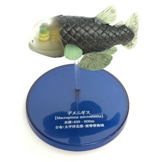 Deep Sea Fish Mini Figure Barreleye Macropinna Microstoma Takara Tomy Japan