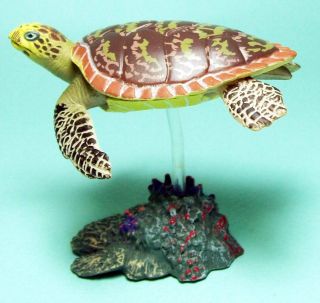 Takara Tomy 3d Capsule Encyclopedia Hawksbill Sea Turtle Figure