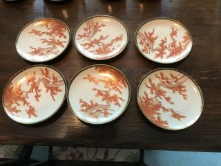 VINTAGE Japanese/Chinese Tea Service with tree motif in 6