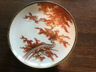 VINTAGE Japanese/Chinese Tea Service with tree motif in 7
