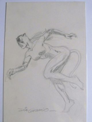 Catwoman Pencil Sketch By Dick Giordano