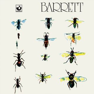 Syd Barrett Barrett 2nd Album 180g Harvest Records David Gilmour Vinyl Lp
