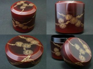 Japanese Lacquer Wooden Tea Caddy Larch Design In Makie Fubuki - Natsume (725)