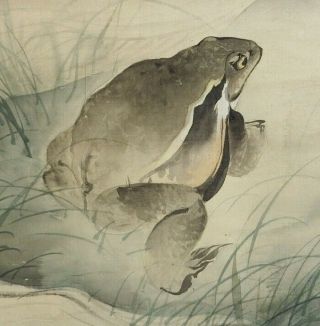 I718: Very Rare Japanese Old Hanging Scroll.  " Frog " With Good Atmosphere.