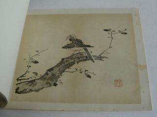 Fine Old Early Chinese Painting Color Print Art Book Jan Tschichold 1953 Rare 3