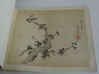 Fine Old Early Chinese Painting Color Print Art Book Jan Tschichold 1953 Rare 5