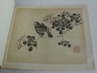 Fine Old Early Chinese Painting Color Print Art Book Jan Tschichold 1953 Rare 6