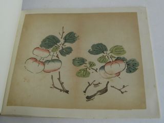 Fine Old Early Chinese Painting Color Print Art Book Jan Tschichold 1953 Rare 7