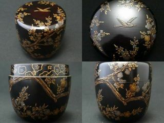 Japan Lacquer Wooden Tea Caddy Bush Warbler In A Plum Tree Makie Natsume (722)