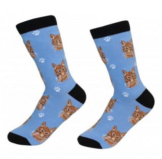Orange Tabby Cat Socks Unisex Dog Cotton/poly One Size Fits Most