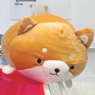 Big 38cm Japan Dog Shiba Inu Mochi Marshmallow Daifuku Red Bean Plush Toreba