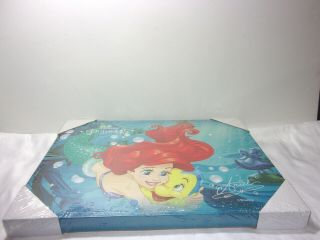 The Little Mermaid Disney Princess Ariel Canvas Battery Compartment Japan Rare 6