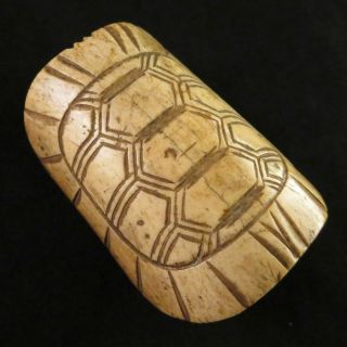 Japanese Antique Netsuke Turtle Shell Kame Stag Horn Carved In Edo Era 2.  1 "
