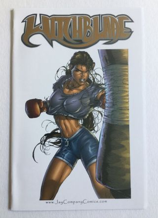 Witchblade 10th Anniv.  Cover Gallery 1 Limited Variant 1 Of 500 Near,  9.  6
