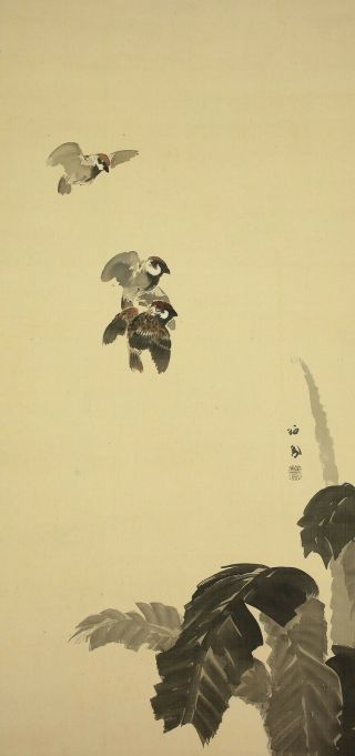 掛軸1967 Japanese Hanging Scroll : Takeuchi Seiho " Three Sparrows " @e299