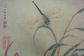 Very Rare Old Large Chinese Hand Painting Lotus Flowers 