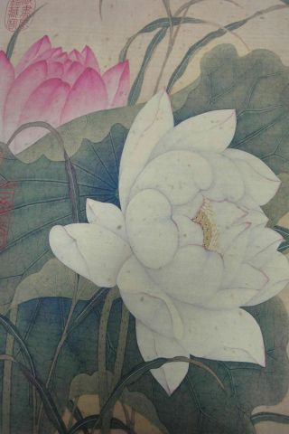 Very Rare Old Large Chinese Hand Painting Lotus Flowers 