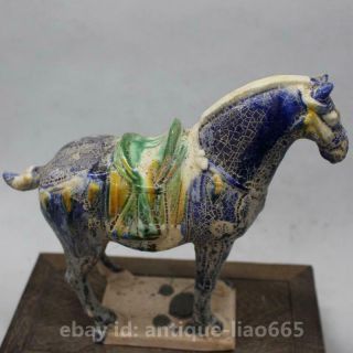 Collect Chinese Ceramics Tri - Color Glazed Pottery Tang Dynasty War - Horse Statue