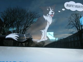 Border Collie Dog Lover Novelty Gift Collectable For Your Car Rear Windscreen