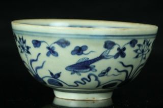 Jul133 Chinese Blue&whte Porcelain Bowl Fish Design Cup