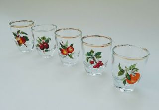 Shot Glasses Fruit - Orange Peach Cherry Apple Plum Vintage Retro X 5