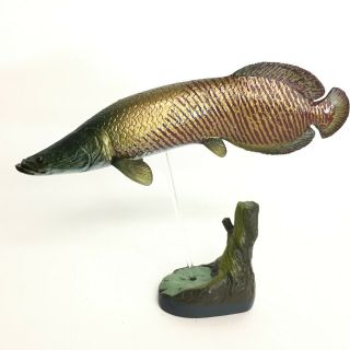 Colorata Fossil Fish Mini Figure Pirarucu Import Japan