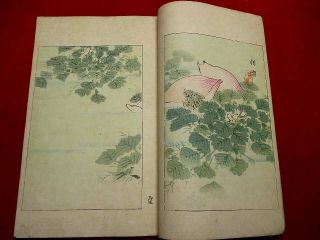 1 - 10 Bijyutu sekai 9 Japanese Seitei Woodblock print book 7