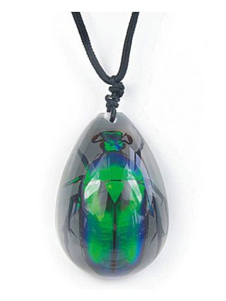 Clear Lucite Nylon Cord Necklace W/ Real Green Rose Chafer Beetle Bug