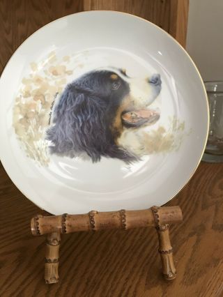 Bernese Mountain Dog Portrait Plate