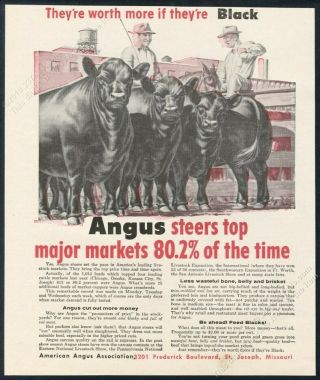 1962 Black Angus Cattle Cow Art American Angus Worth More If Black Print Ad