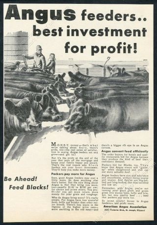 1959 Black Angus Cattle Cow Feedlot Art American Angus Vintage Print Ad