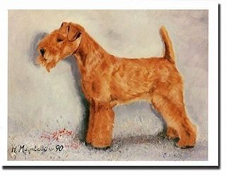 Lakeland Terrier Profile Notecards 6 Note Cards 6 Envelopes Ruth Maystead