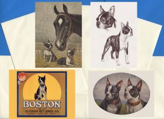 Boston Terrier Pack Of 4 Vintage Style Dog Print Greetings Note Cards 1