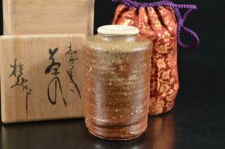 S4464: Japanese Shigaraki - Ware Youhen Pattern Tea Caddy Chaire W/signed Box