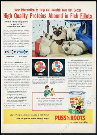 1957 Siamese Cat Kitten Family Photo Puss N Boot Cat Food Vintage Print Ad