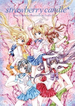 Doujinshi " Strawberry Candle " Arina Tanemura Sailor Moon,  Others Art Book Japan