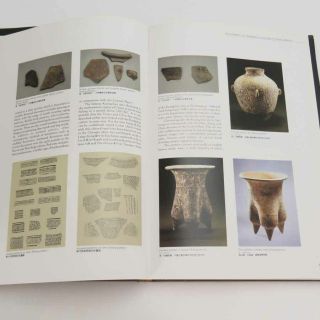 Early Wares : Prehistoric To Tenth Century By Liu Liang - yu 6
