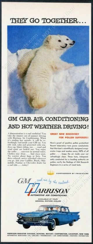1959 Polar Bear Cubs Color Photo Gm Harrison Air Conditioning Vintage Print Ad