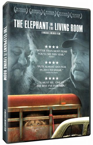 Documentary Film " The Elephant In The Living Room "